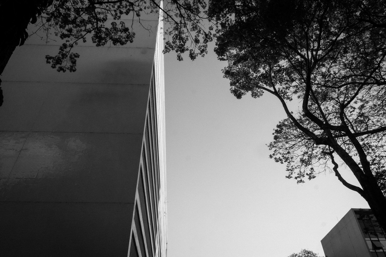 Foto Rachel Trein - Imagem 24