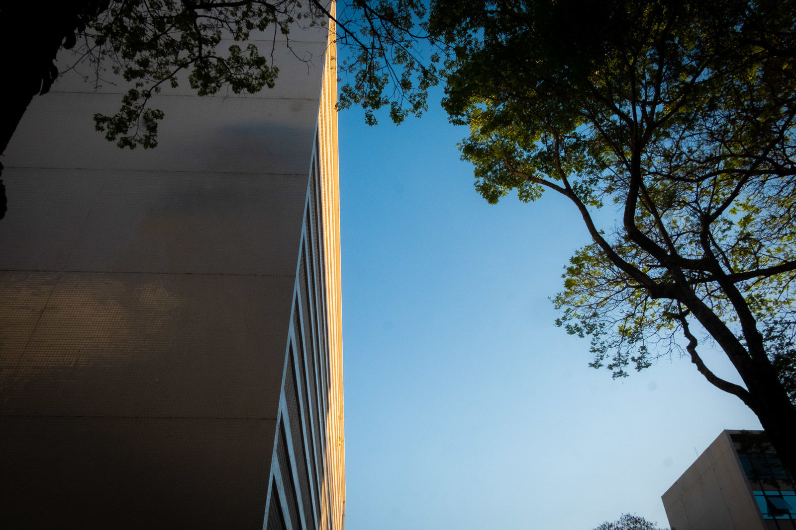 Foto Rachel Trein - Imagem 25