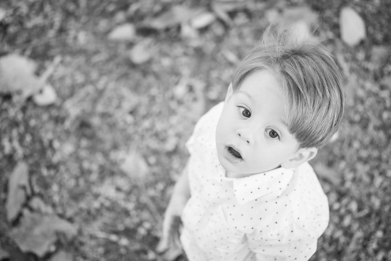 Foto Rachel Trein - Imagem 10