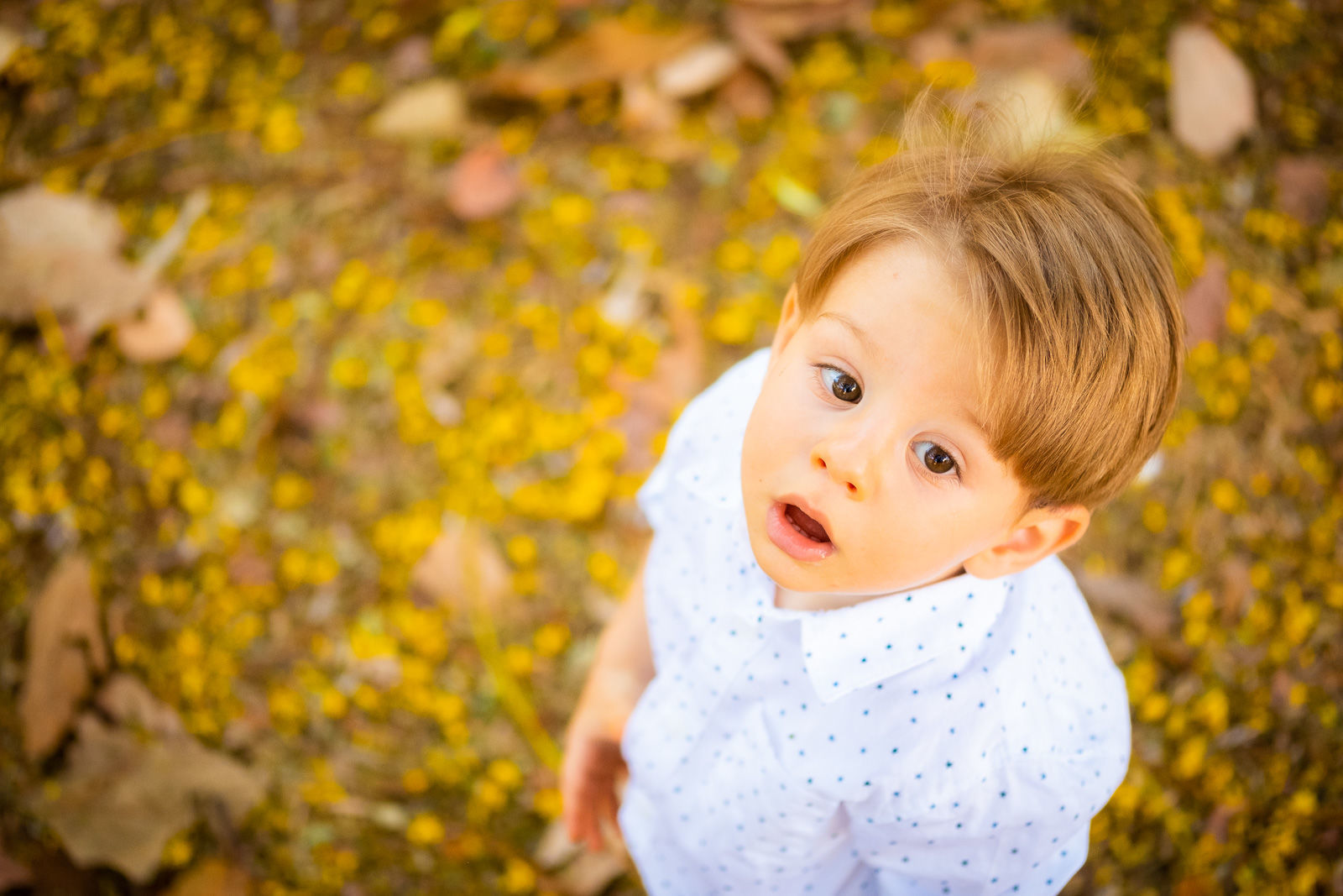 Foto Rachel Trein - Imagem 11