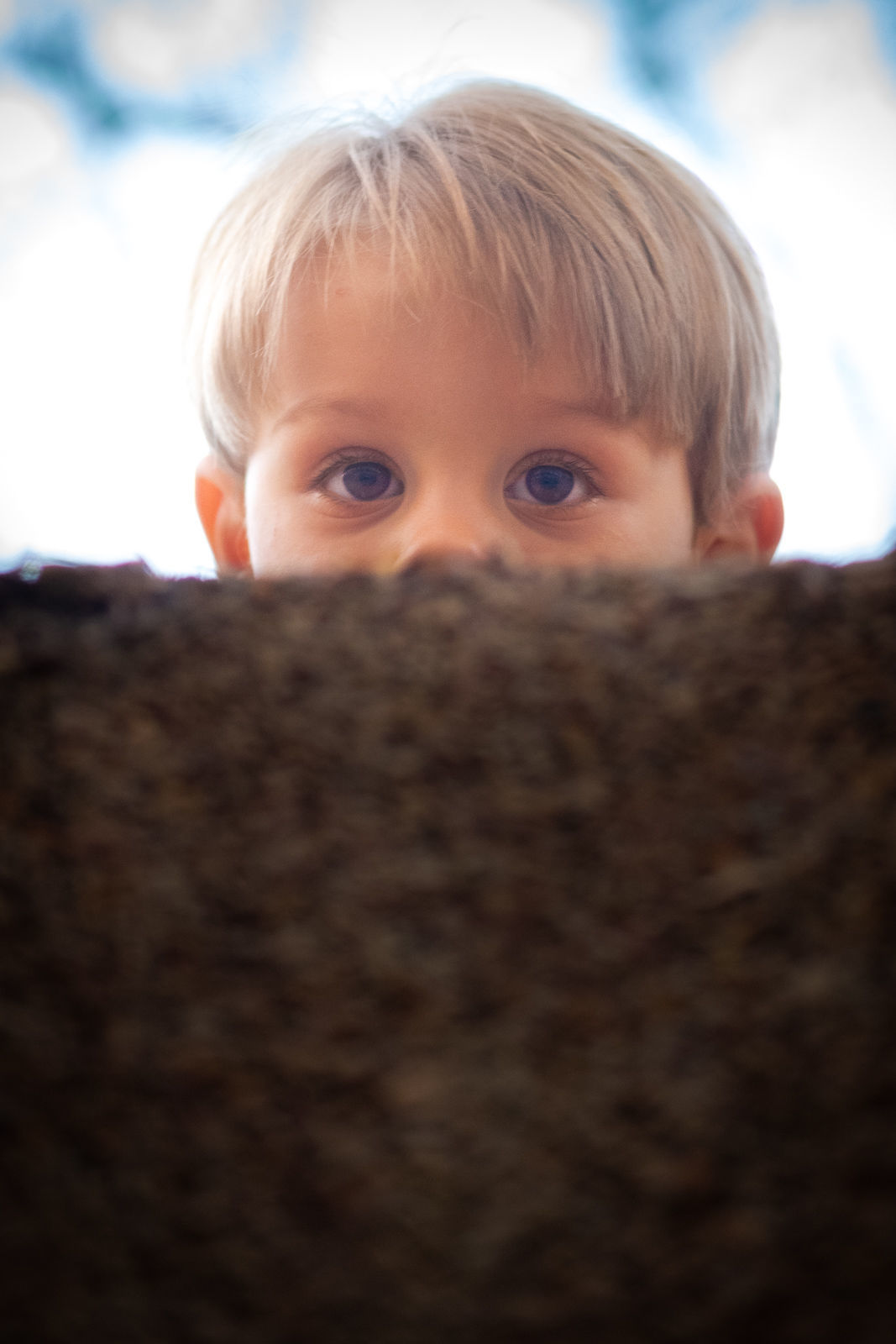 Foto Rachel Trein - Imagem 34