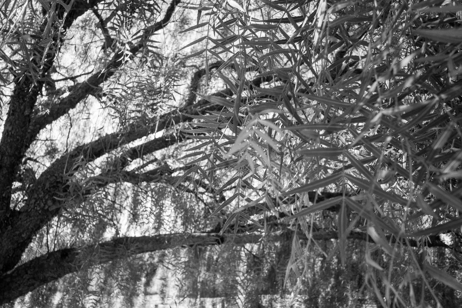 Foto Vanda e Jailton - Imagem 21