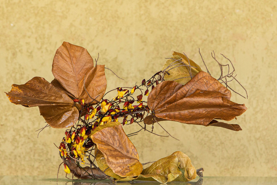 ikebana ikebana