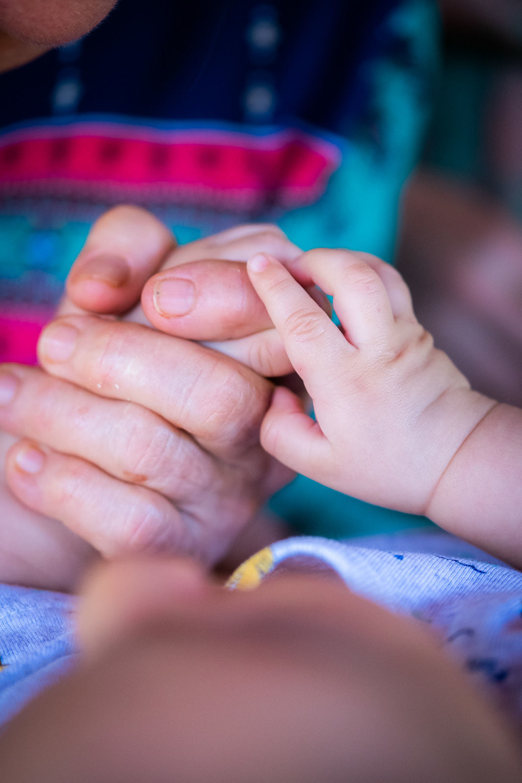 Foto Vamos juntar os primos - Imagem 2