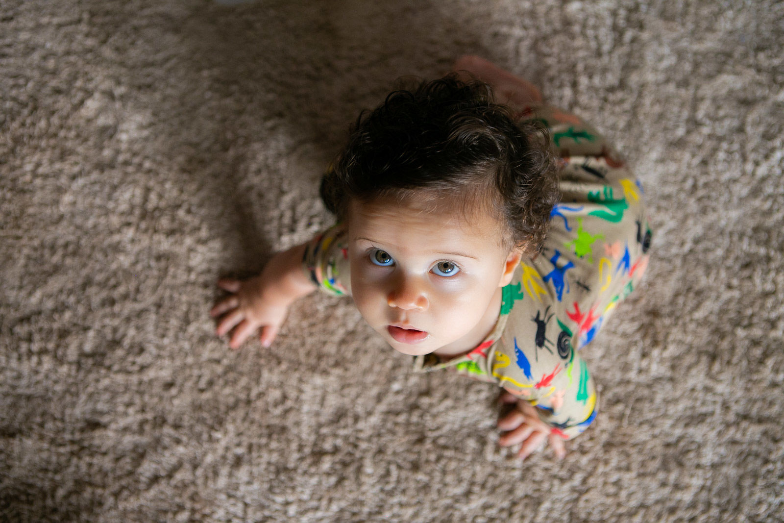 Foto Vicente 9 meses - Imagem 5