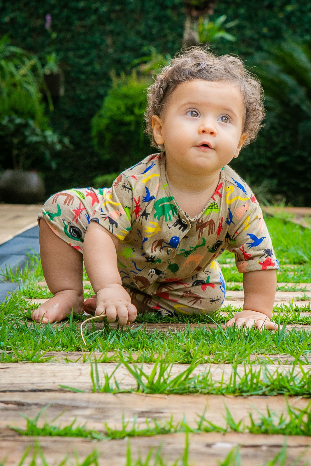 Foto Vicente 9 meses - Imagem 13