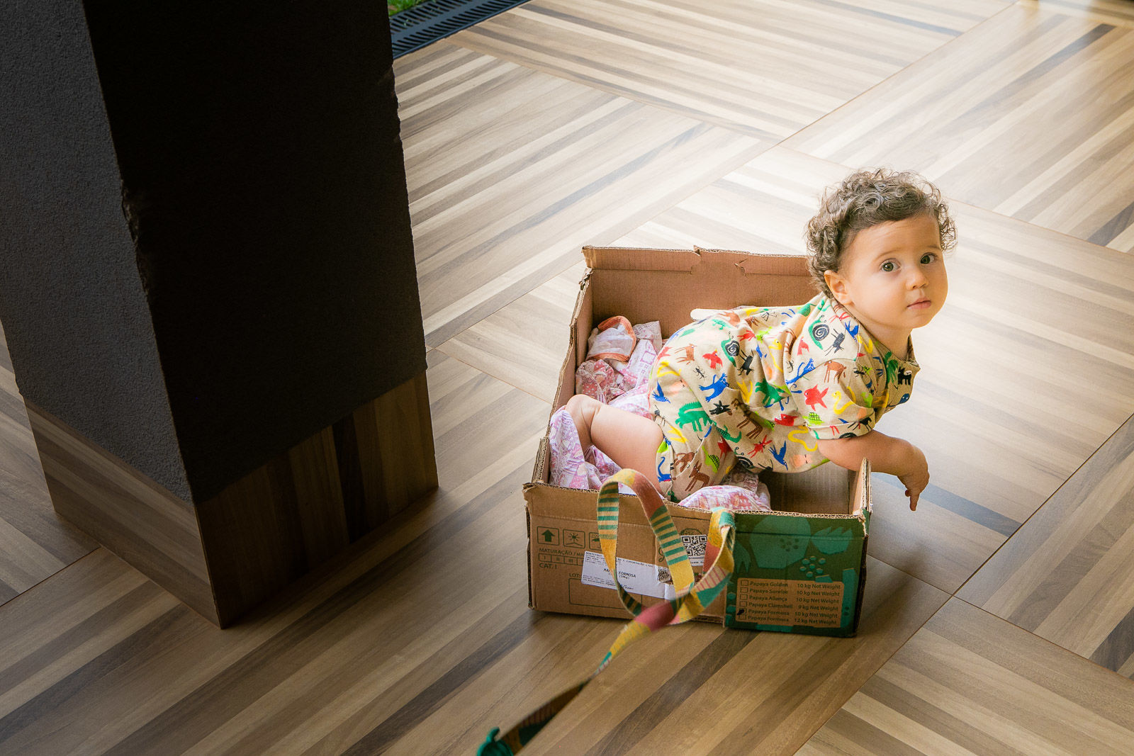 Foto Vicente 9 meses - Imagem 11