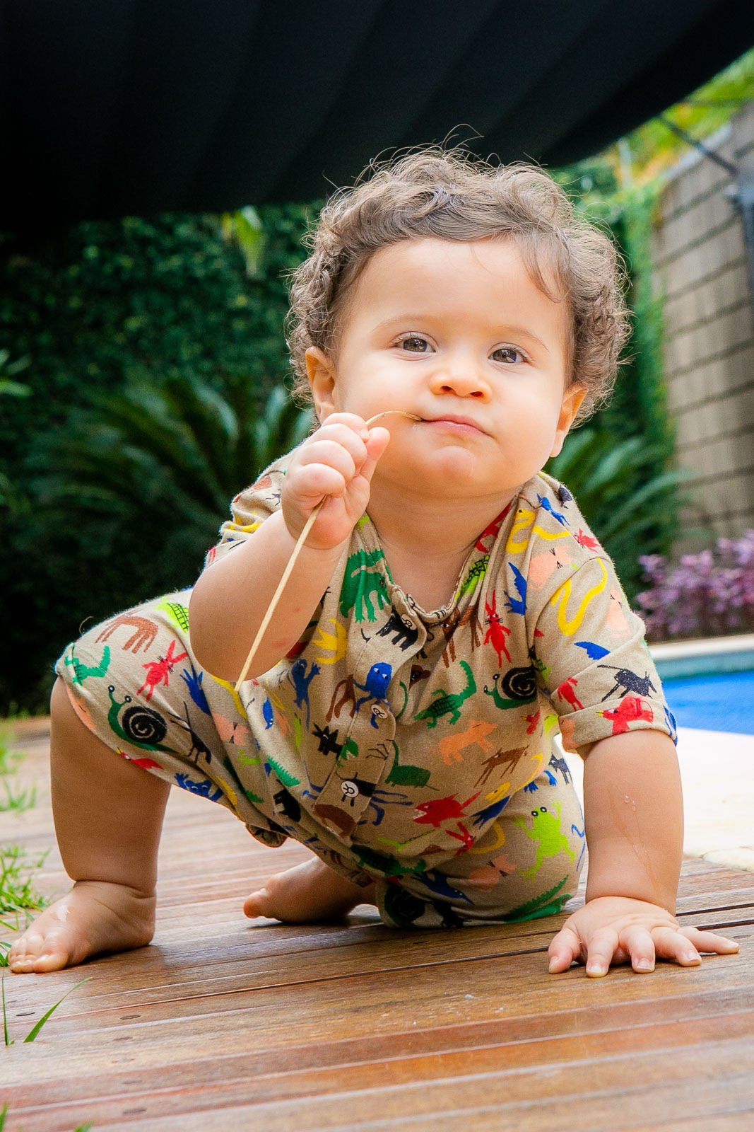 Foto Vicente 9 meses - Imagem 14