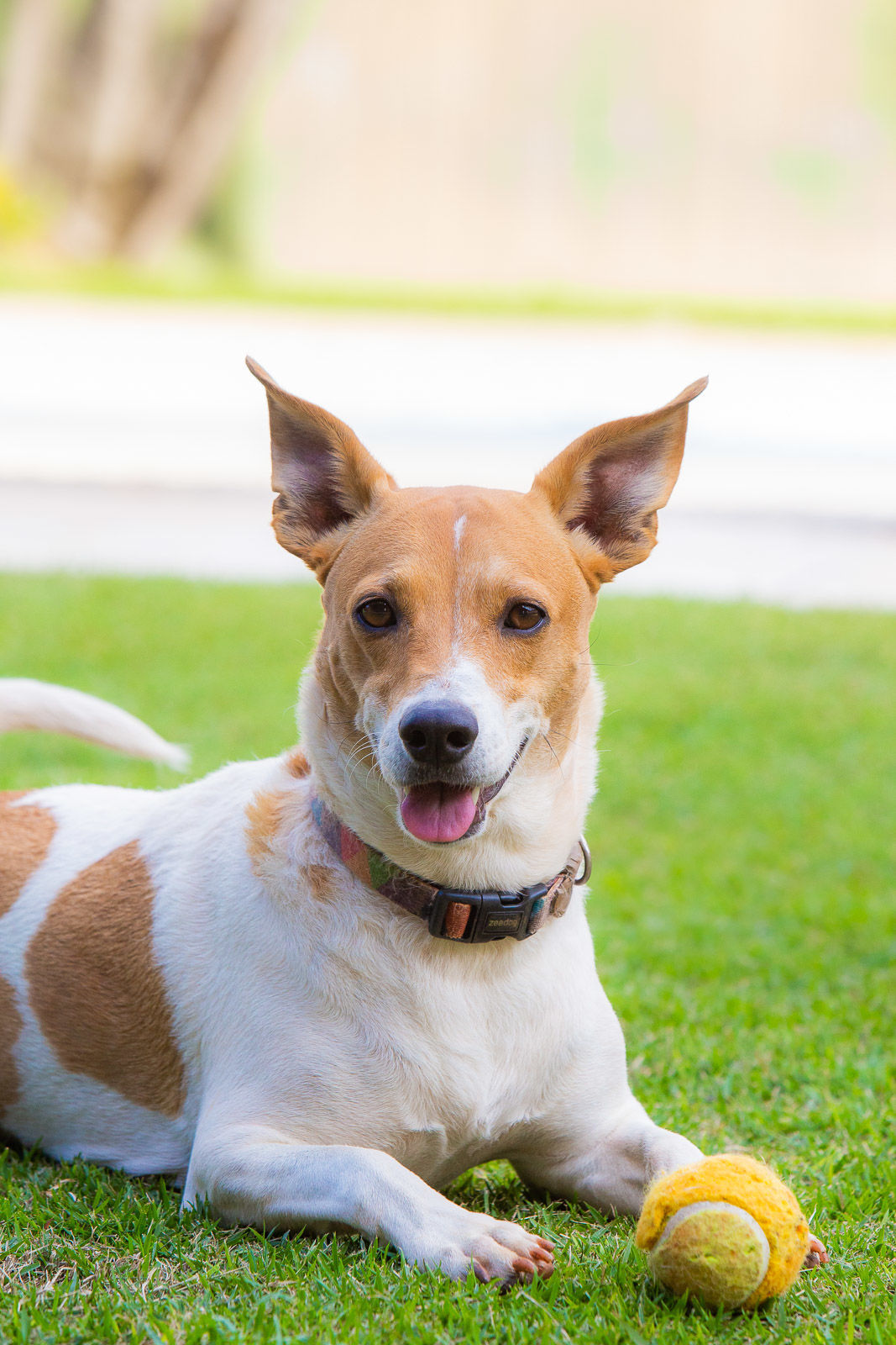Foto Família, simples assim - Imagem 4