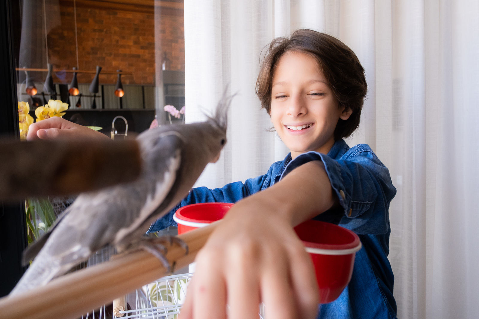 Foto Família Janaina - Imagem 7