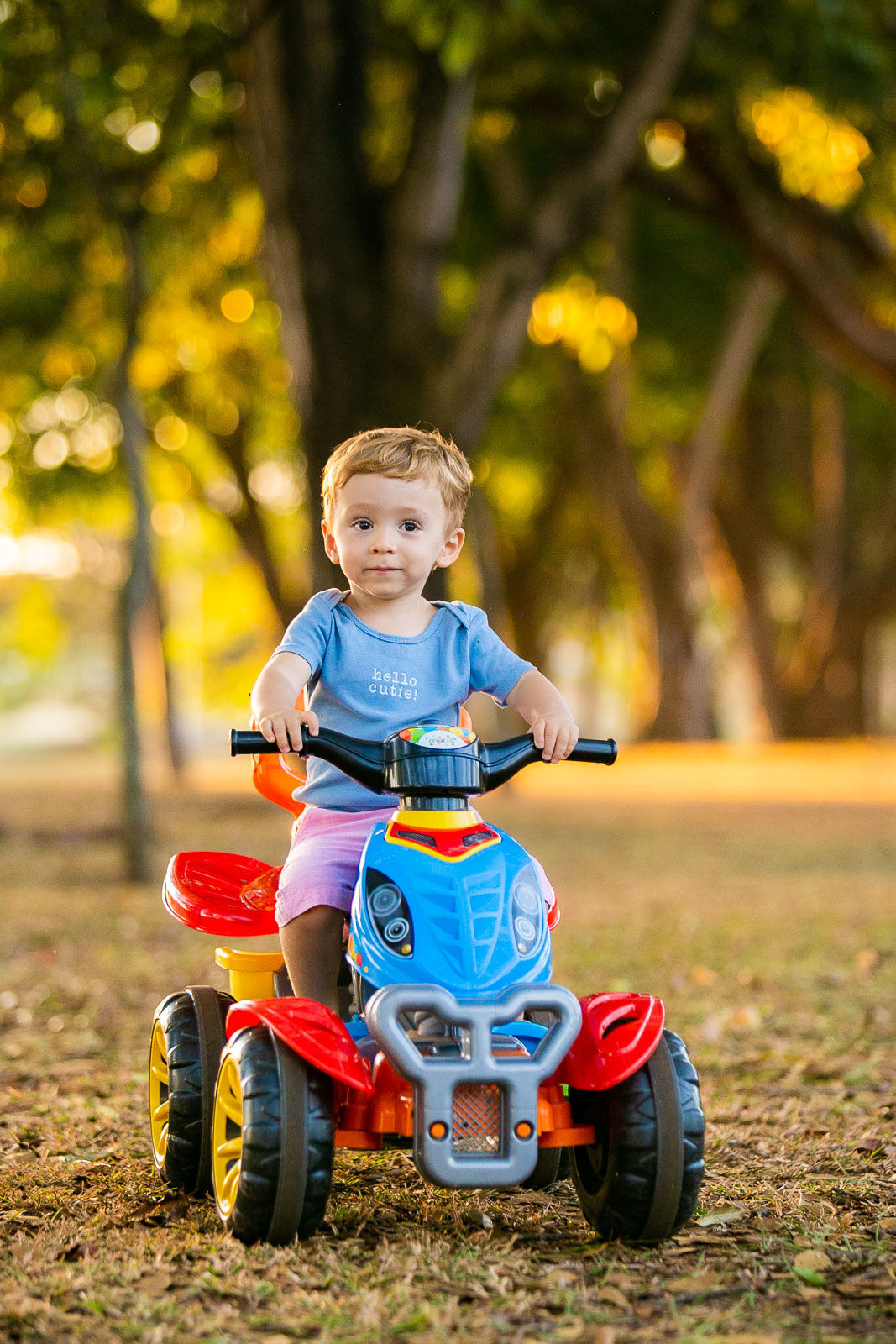 Foto Davi - Imagem 19