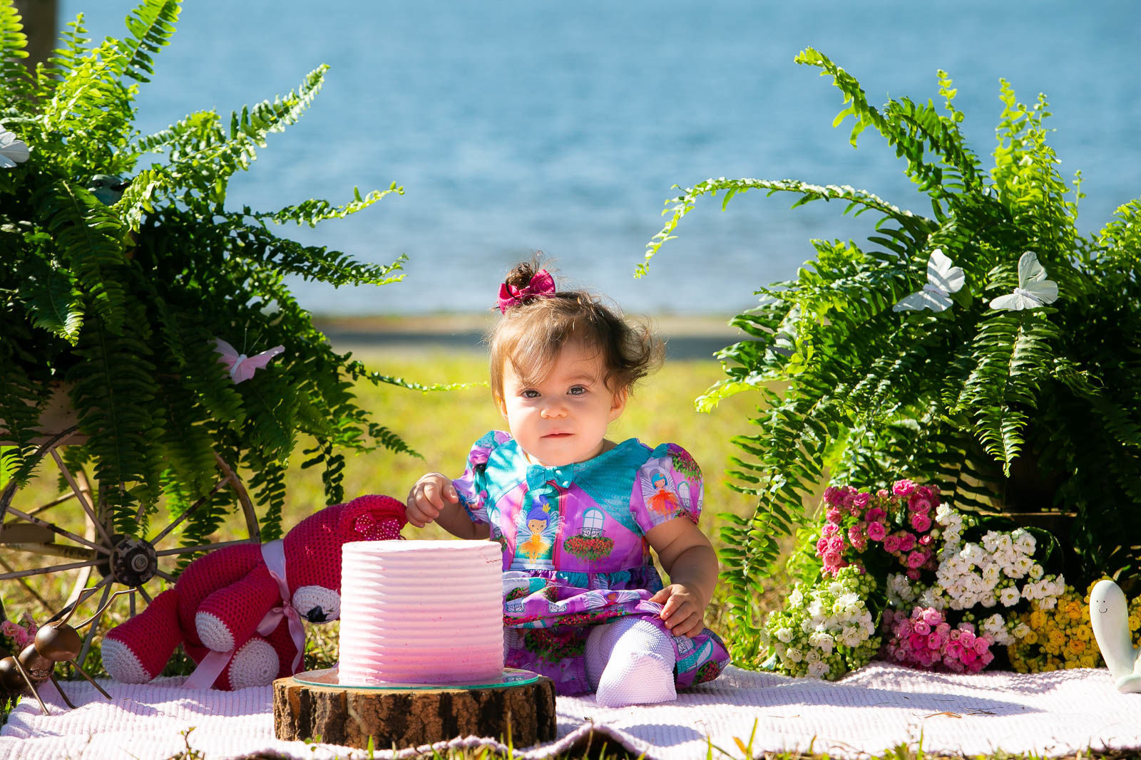 Foto Sofia - Imagem 2