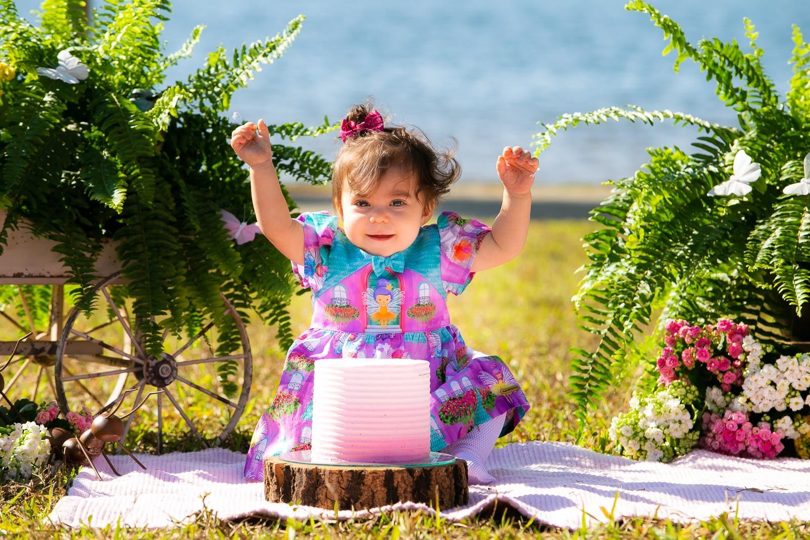 Foto Sofia - Imagem 5