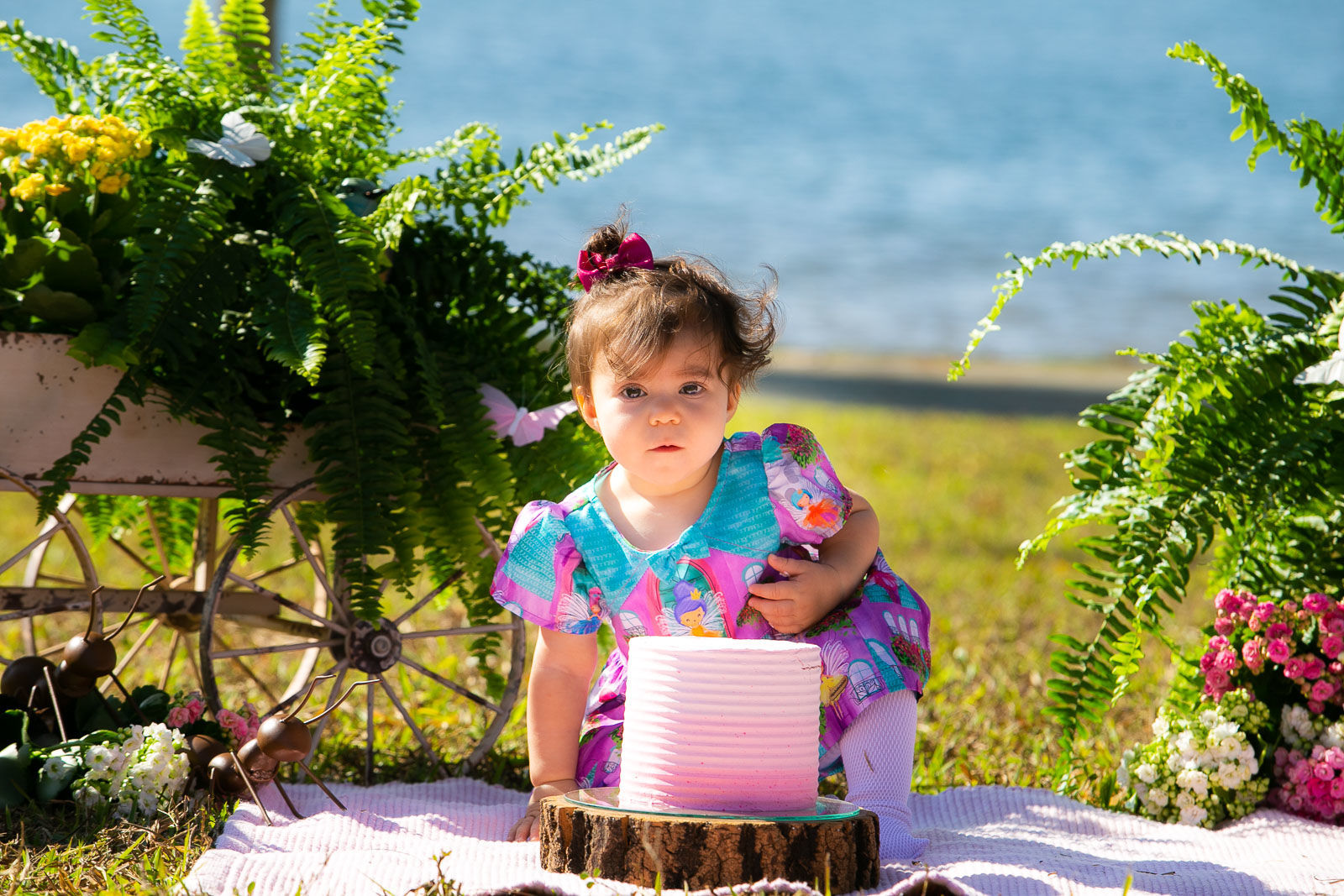 Foto Sofia - Imagem 3