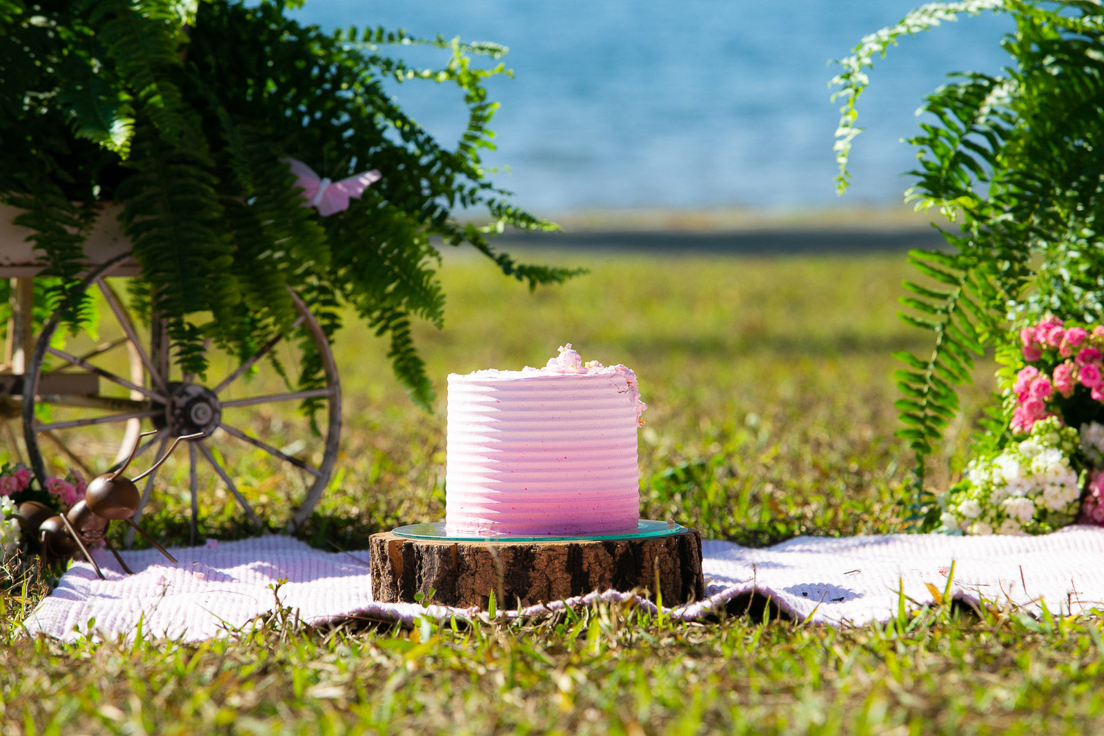 Foto Sofia - Imagem 10