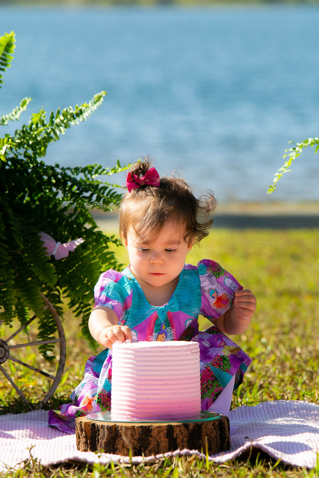 Foto Sofia - Imagem 7