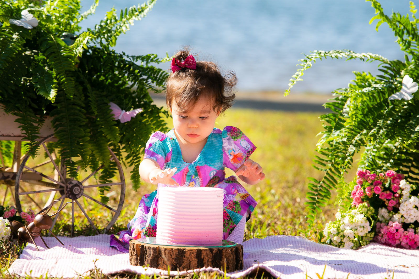 Foto Sofia - Imagem 6