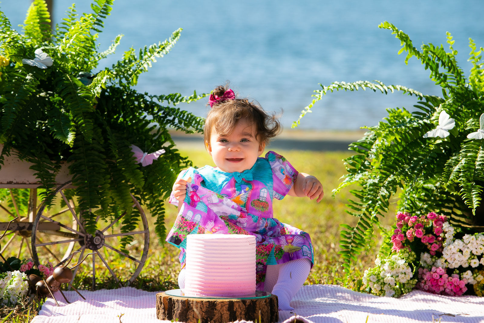 Foto Sofia - Imagem 4