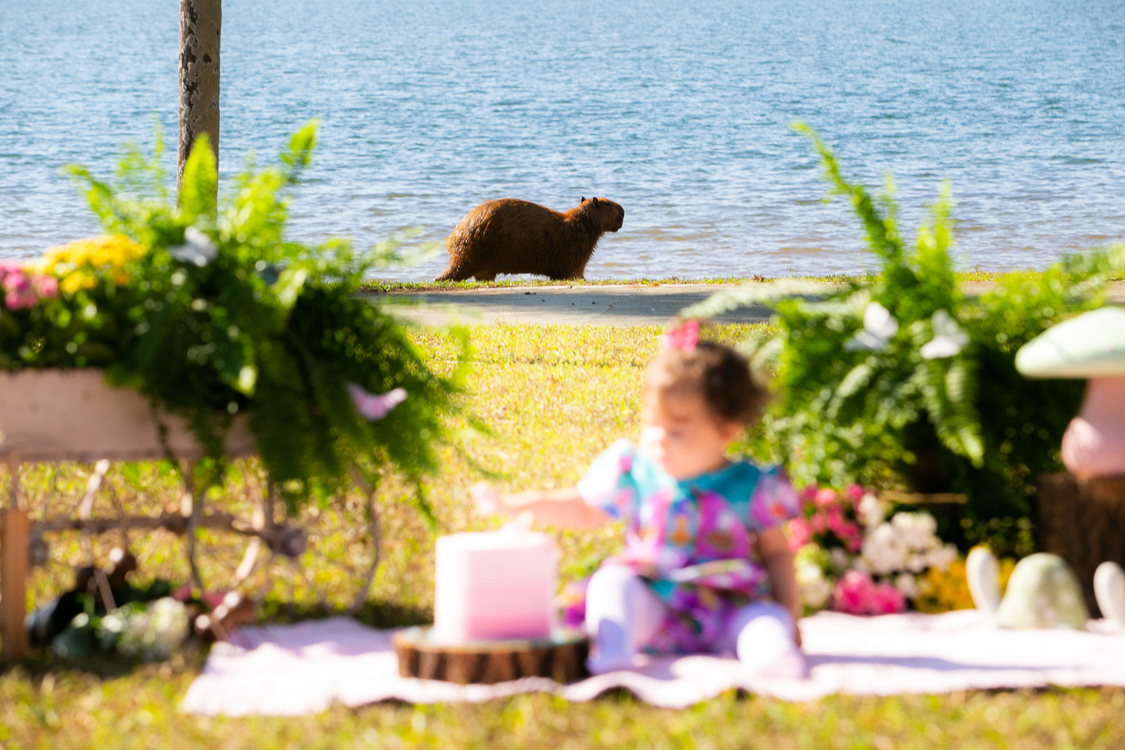 Foto Sofia - Imagem 9