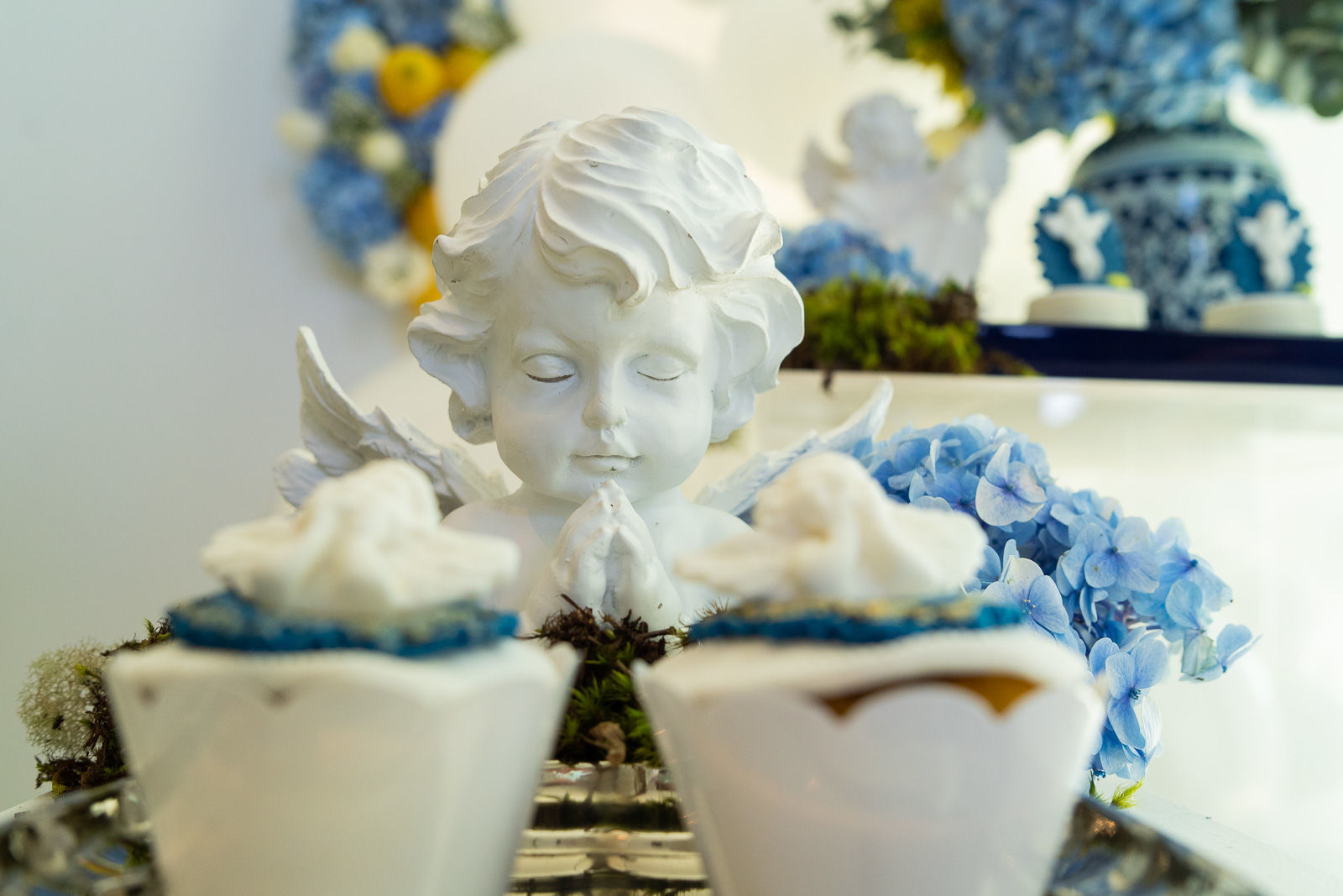 Foto José Augusto - Imagem 22