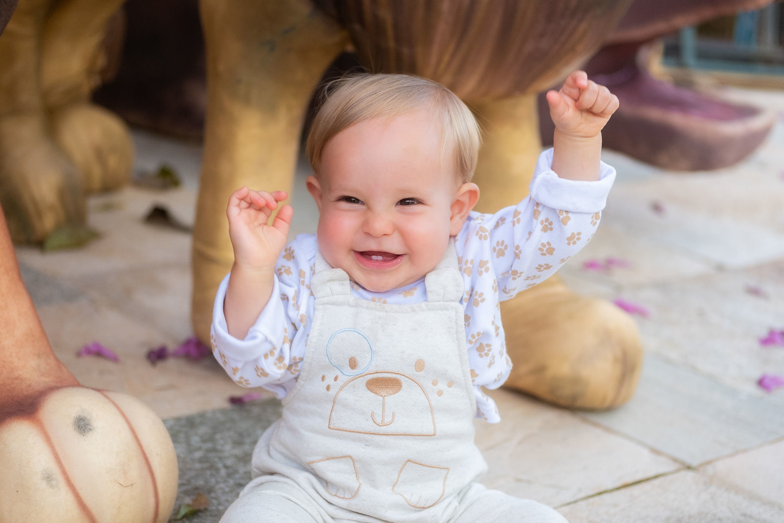 Foto Lucas - Imagem 7