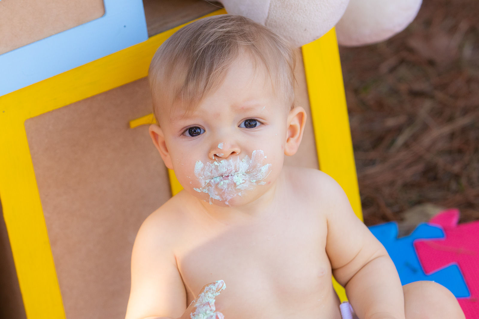 Foto Gael - Imagem 4