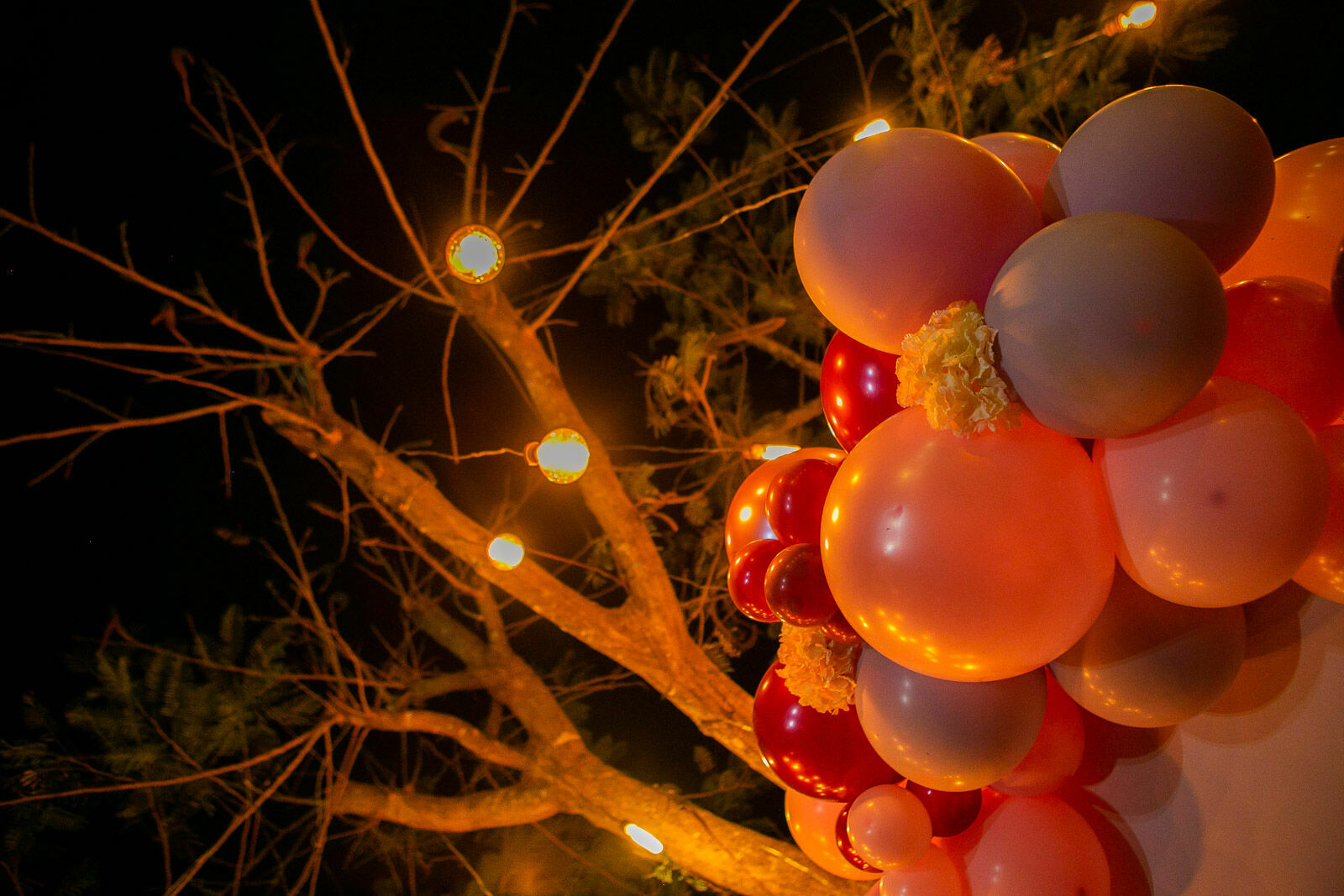 Foto Julie - Imagem 4