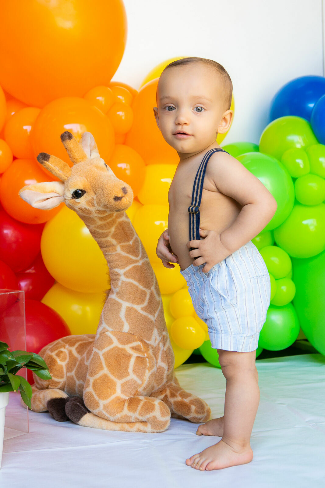 Foto José - smash the cake - Imagem 2