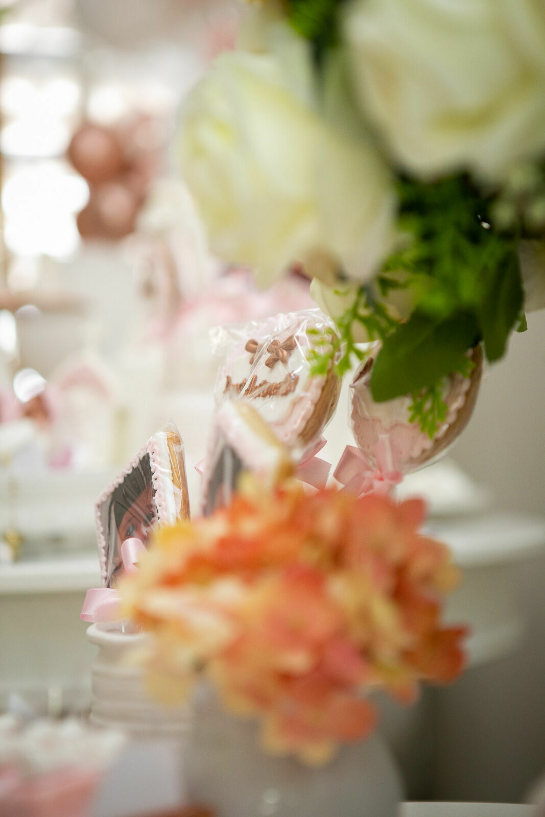 Foto Batismo Antonela - Imagem 23