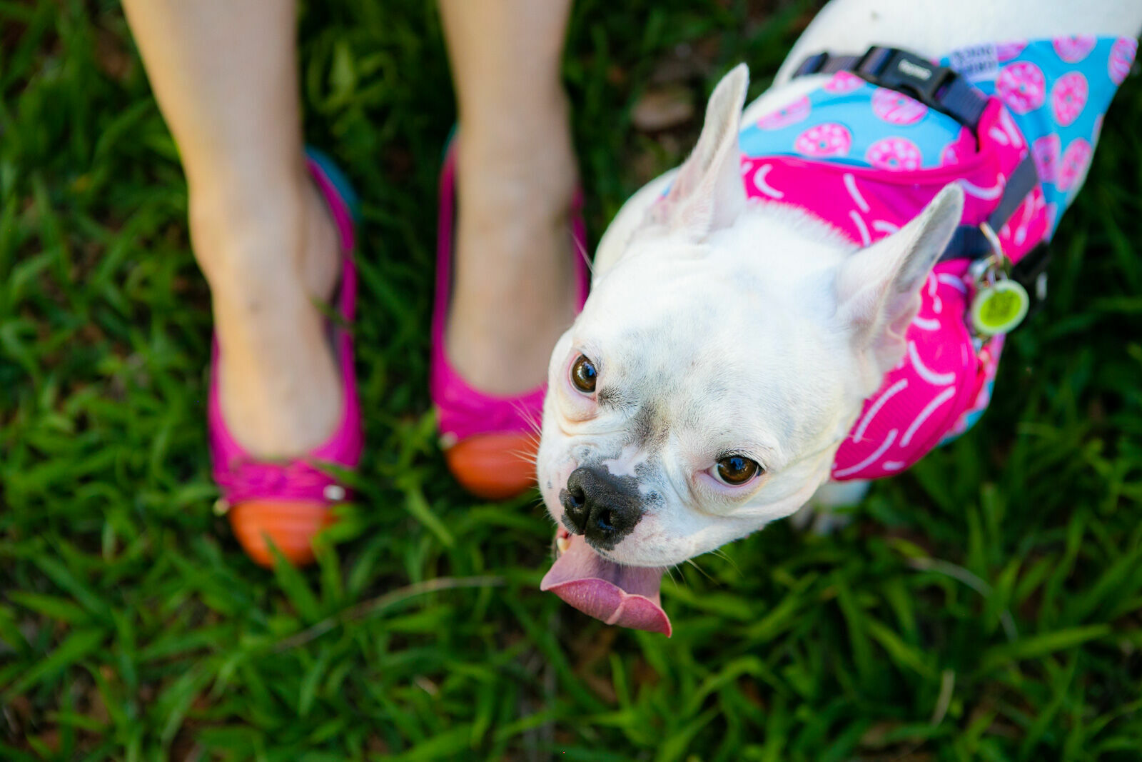 Foto Ensaio Roberta - Imagem 7