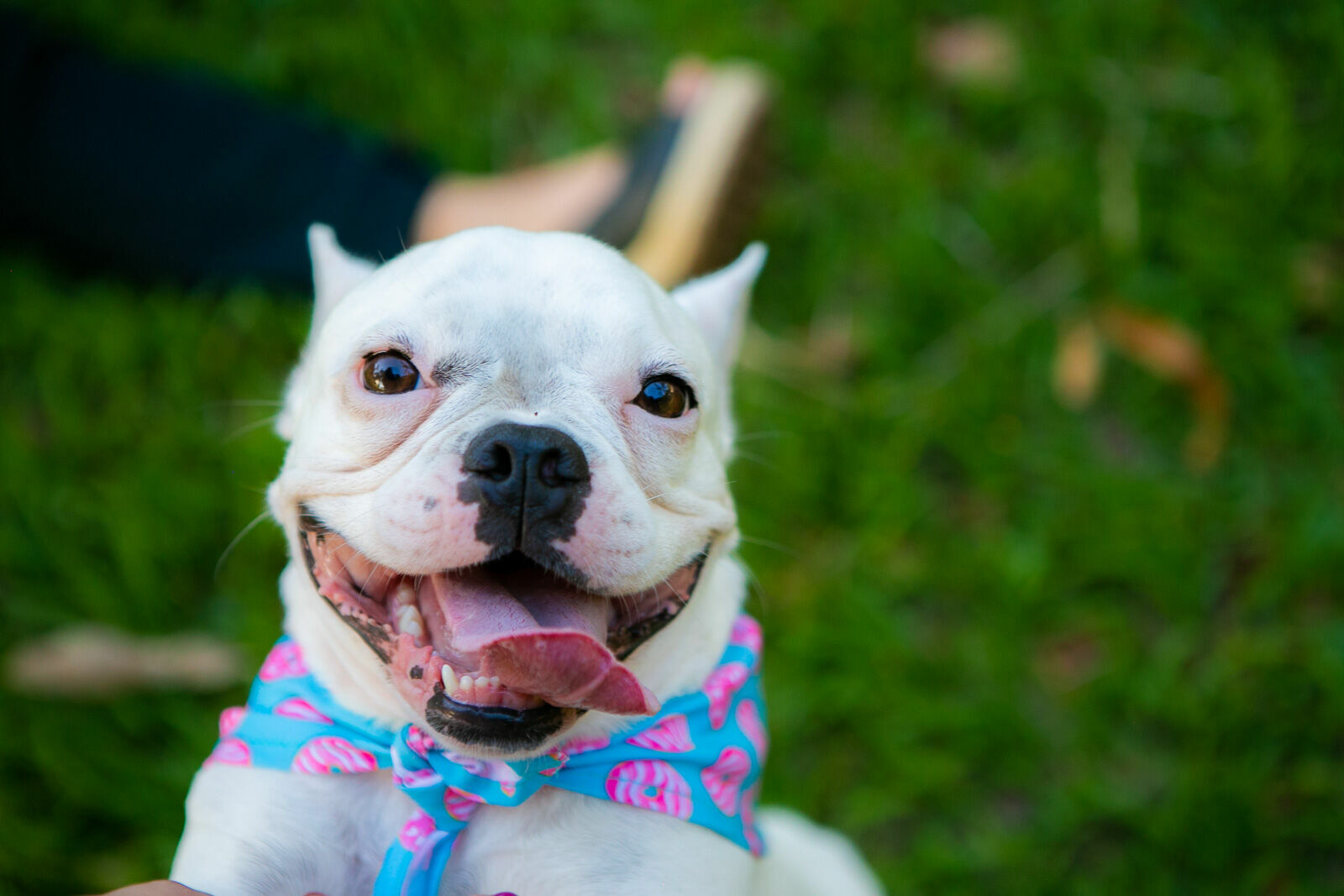 Foto Ensaio Roberta - Imagem 10