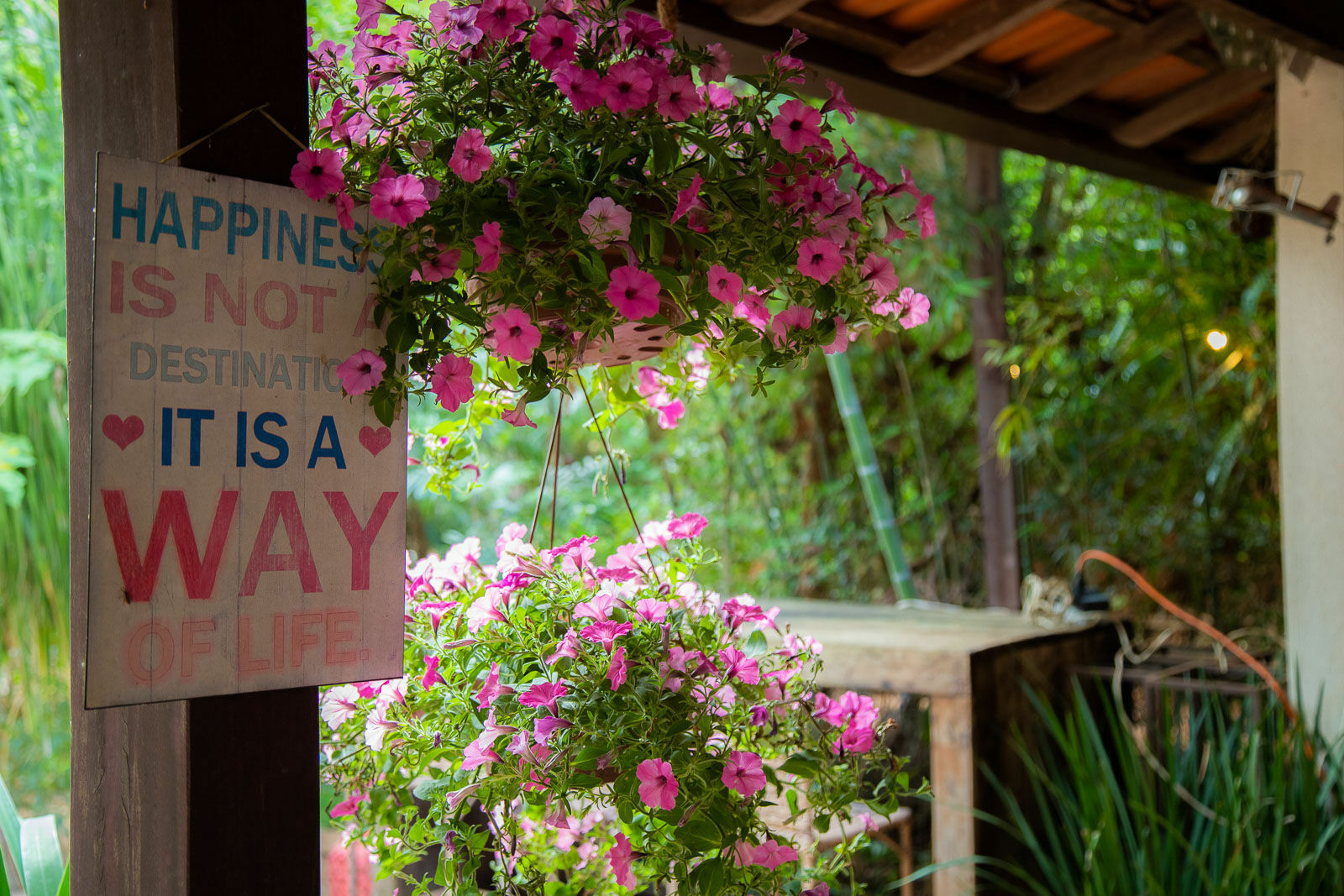 Foto Casamento Amanda e Rafael - Imagem 14
