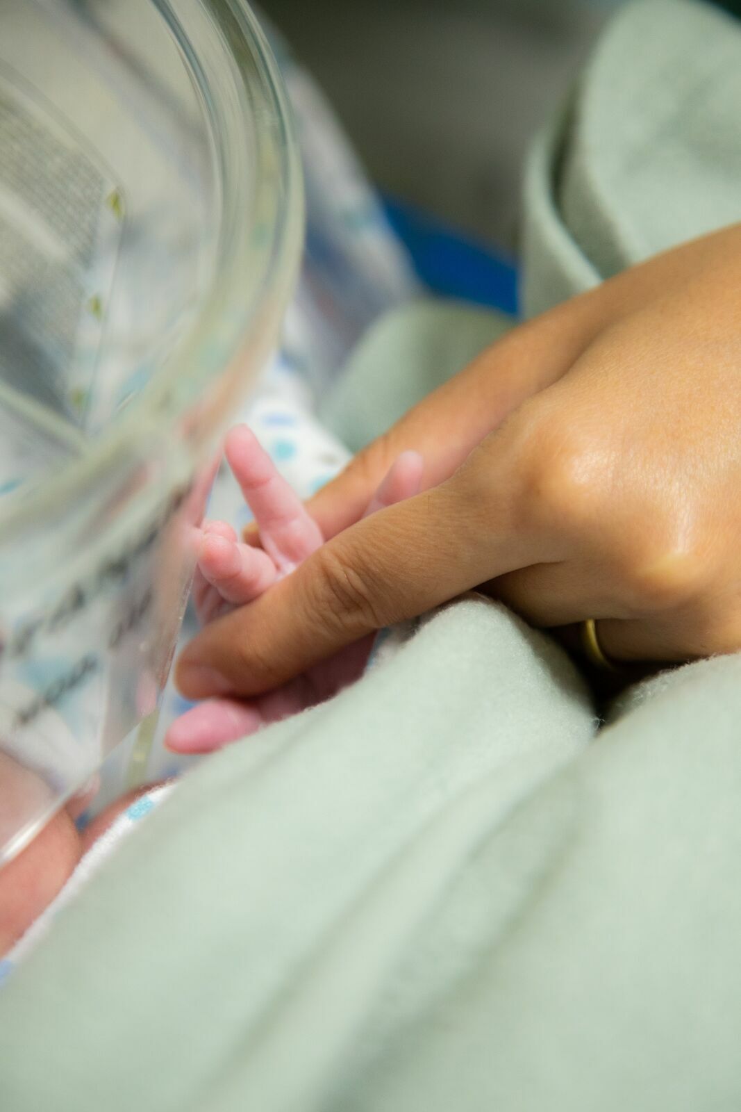 Foto Parto Carolina - Imagem 17