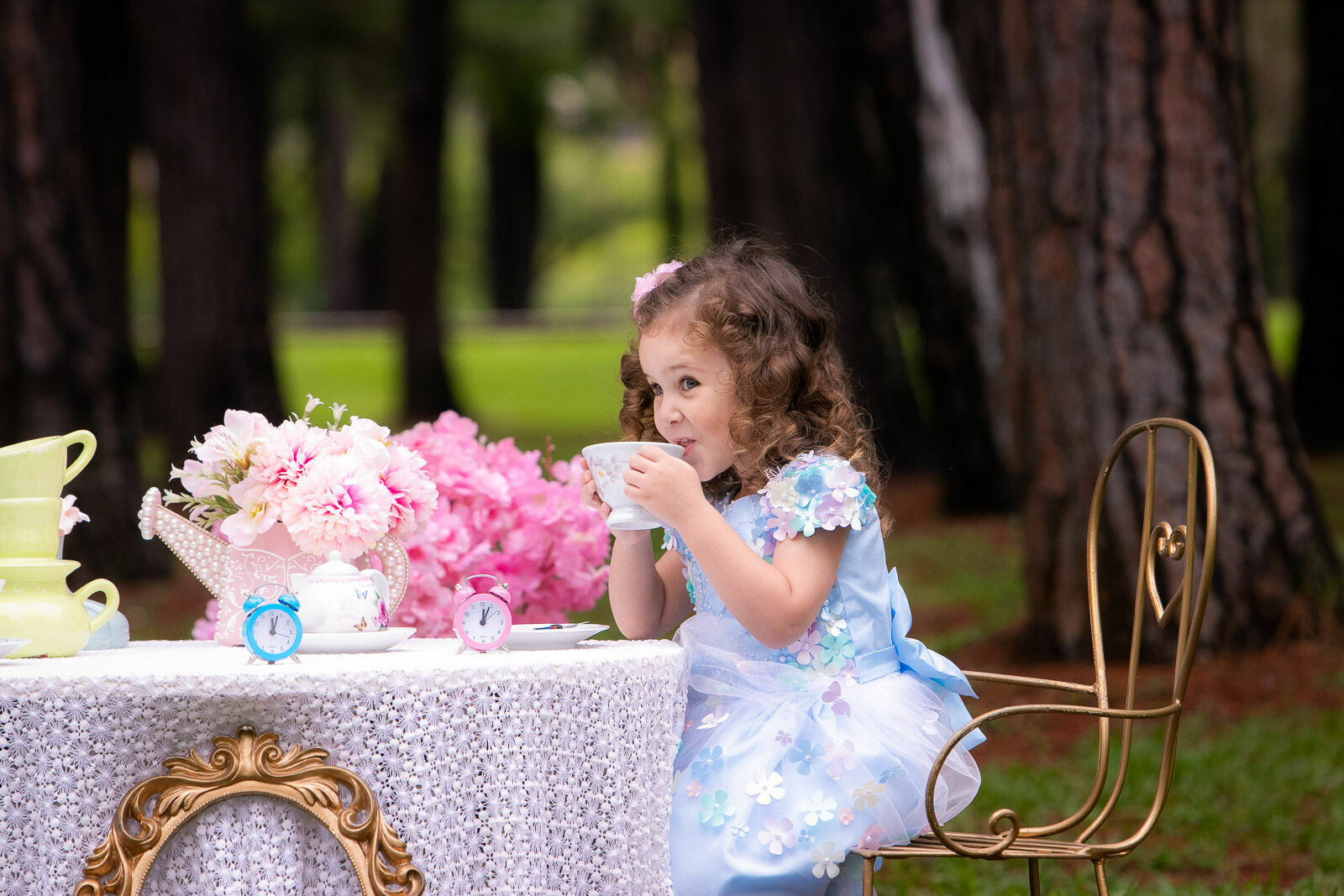 Foto Ensaio Alice - Imagem 6