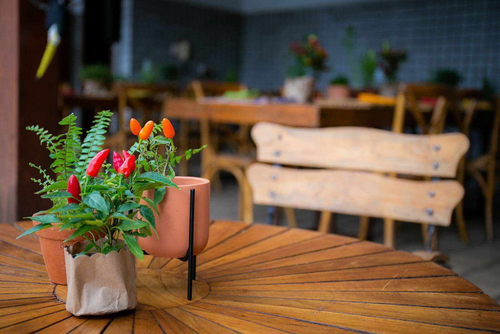 Foto Maria - Imagem 0