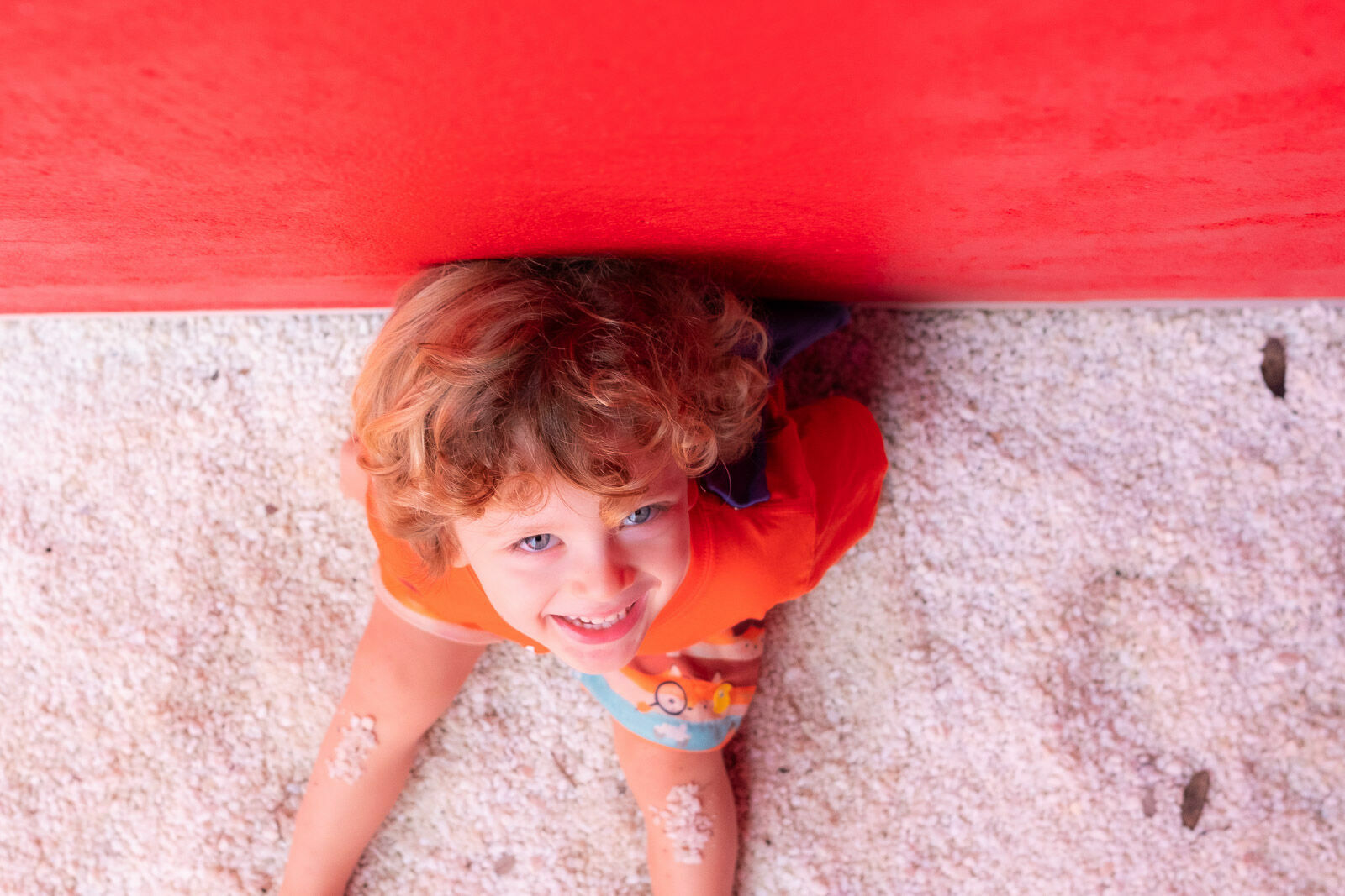 Foto Família Tarcila - Imagem 8