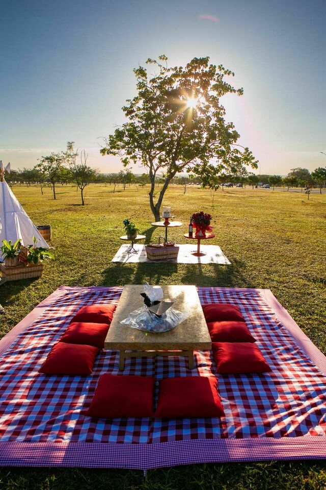 Picnic Ludmilla