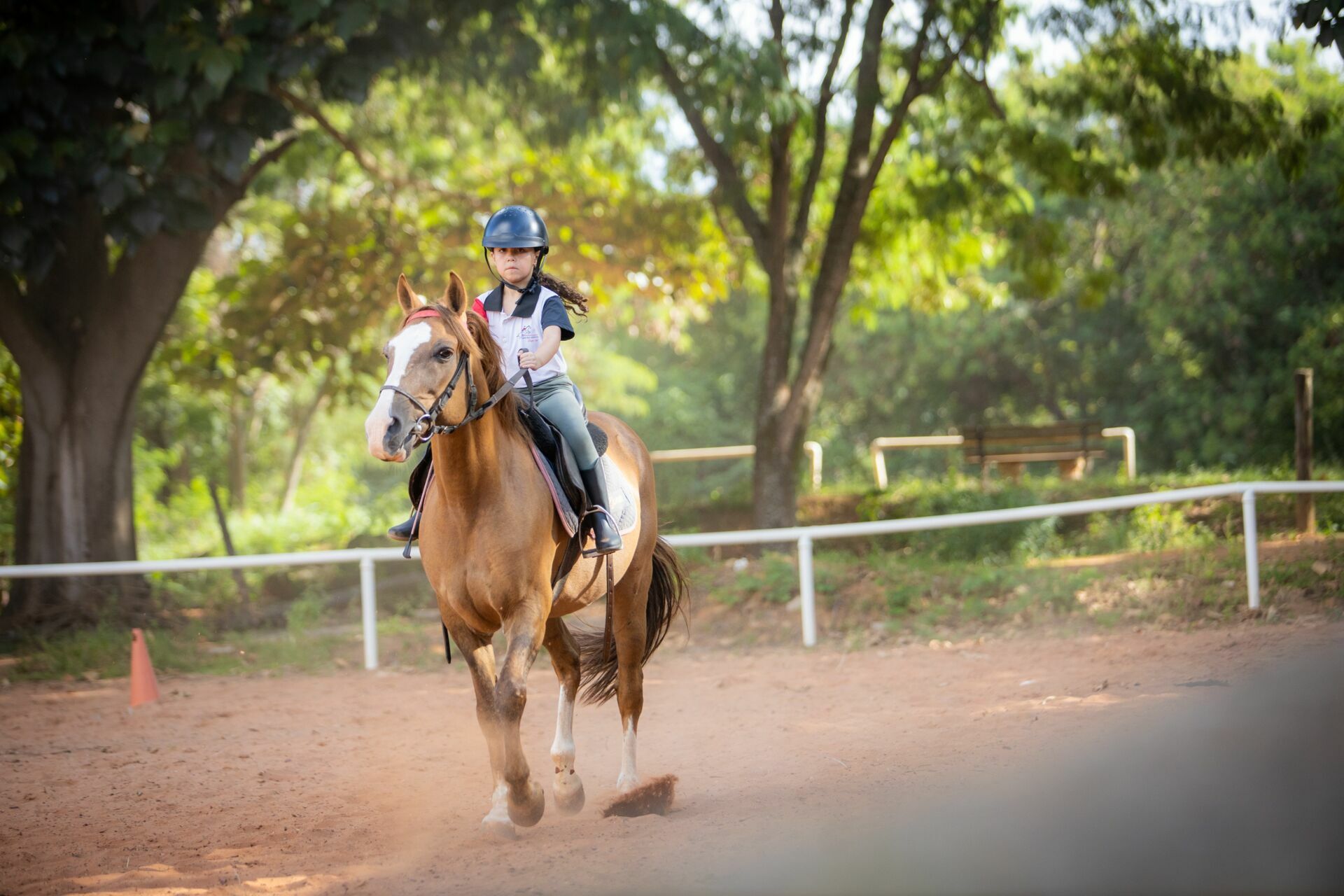 Foto Amanda e o vento: um ensaio entre corridas, rendas e balanços de árvore Foto Amanda e o vento: um ensaio entre corridas, rendas e balanços de árvore - Imagem 4
