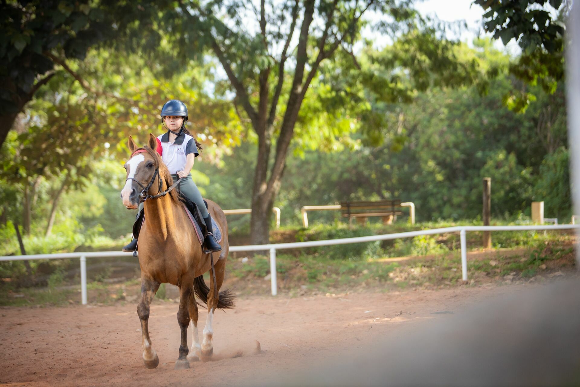 Foto Amanda e o vento: um ensaio entre corridas, rendas e balanços de árvore Foto Amanda e o vento: um ensaio entre corridas, rendas e balanços de árvore - Imagem 3