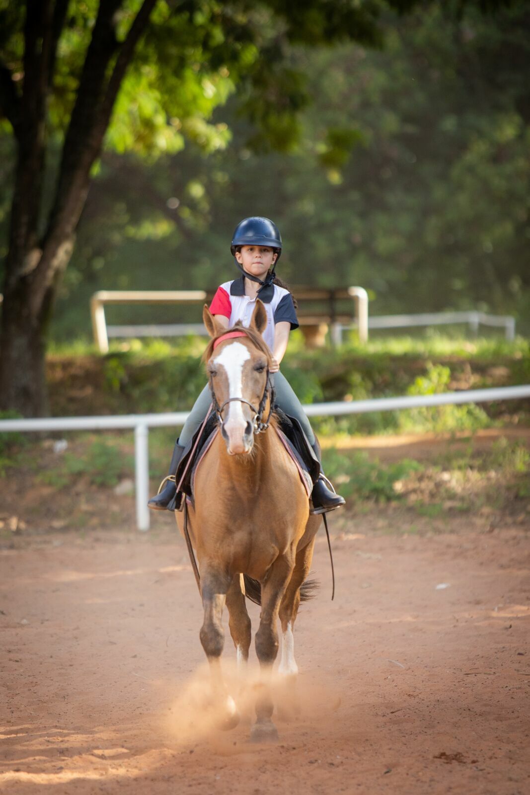 Foto Amanda e o vento: um ensaio entre corridas, rendas e balanços de árvore Foto Amanda e o vento: um ensaio entre corridas, rendas e balanços de árvore - Imagem 2