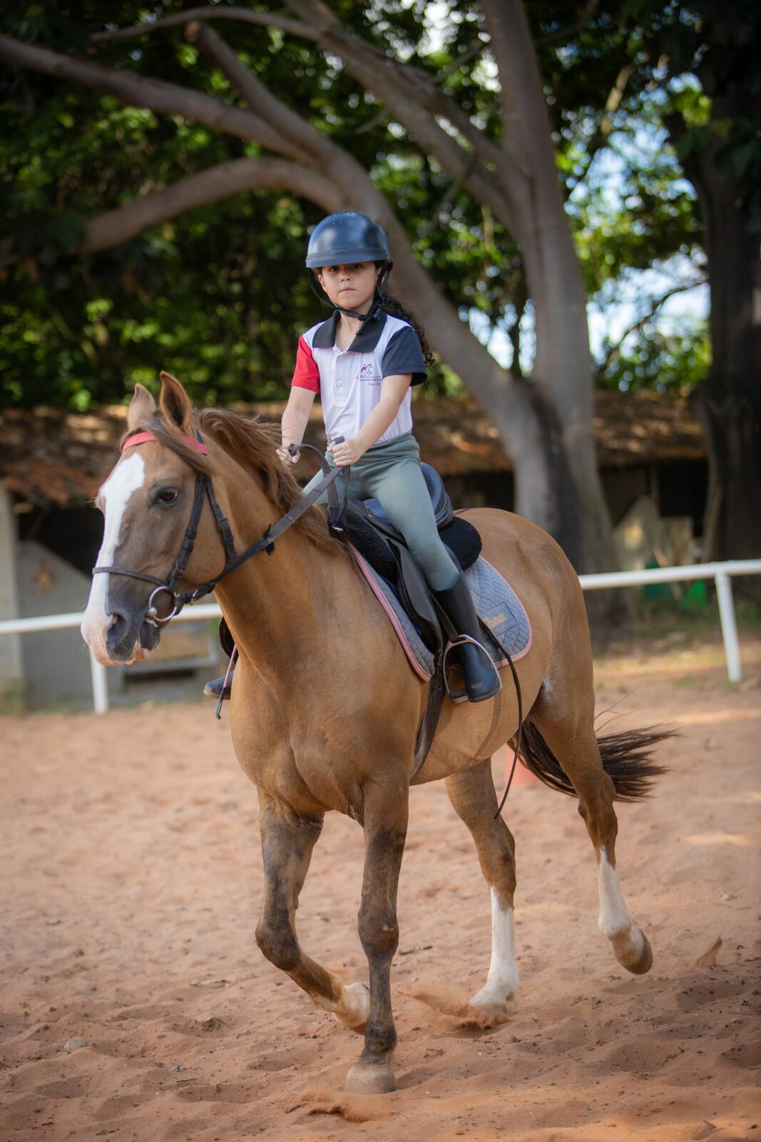 Foto Amanda e o vento: um ensaio entre corridas, rendas e balanços de árvore Foto Amanda e o vento: um ensaio entre corridas, rendas e balanços de árvore - Imagem 6