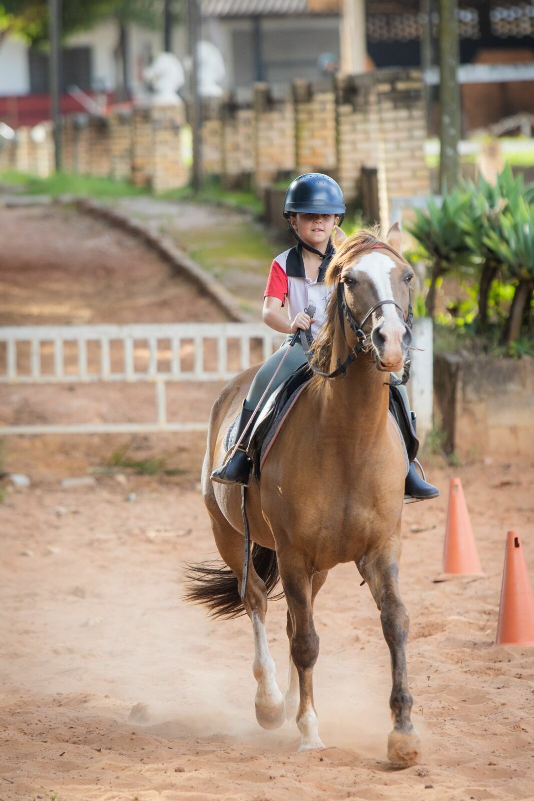 Foto Amanda e o vento: um ensaio entre corridas, rendas e balanços de árvore Foto Amanda e o vento: um ensaio entre corridas, rendas e balanços de árvore - Imagem 7