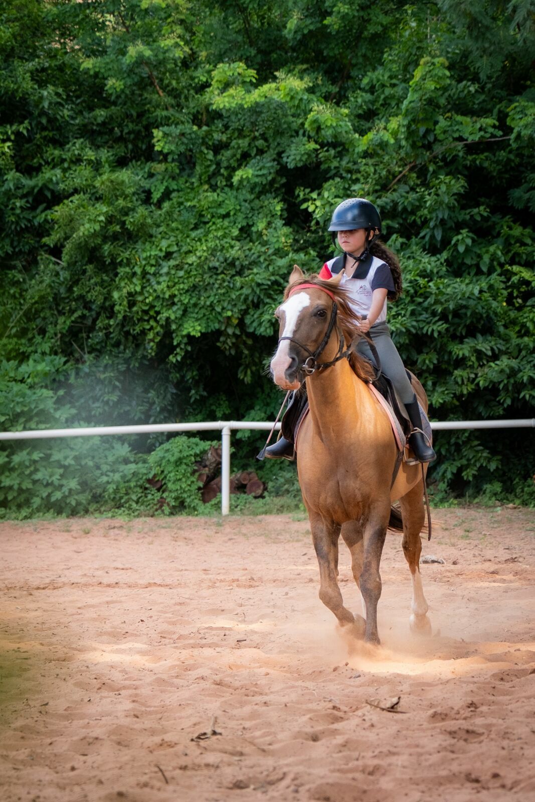 Foto Amanda e o vento: um ensaio entre corridas, rendas e balanços de árvore Foto Amanda e o vento: um ensaio entre corridas, rendas e balanços de árvore - Imagem 10