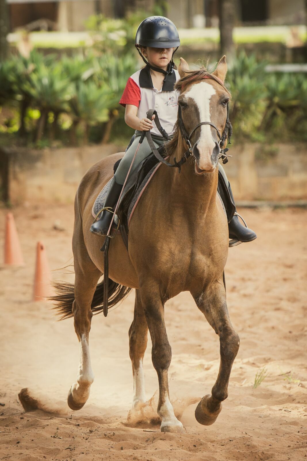 Foto Amanda e o vento: um ensaio entre corridas, rendas e balanços de árvore Foto Amanda e o vento: um ensaio entre corridas, rendas e balanços de árvore - Imagem 9