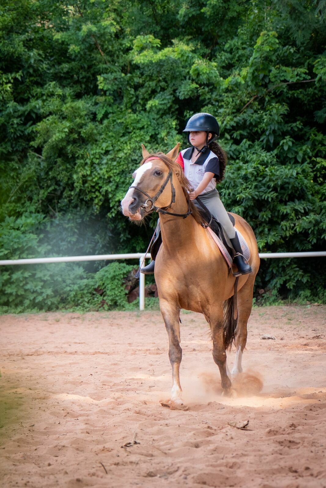 Foto Amanda e o vento: um ensaio entre corridas, rendas e balanços de árvore Foto Amanda e o vento: um ensaio entre corridas, rendas e balanços de árvore - Imagem 11