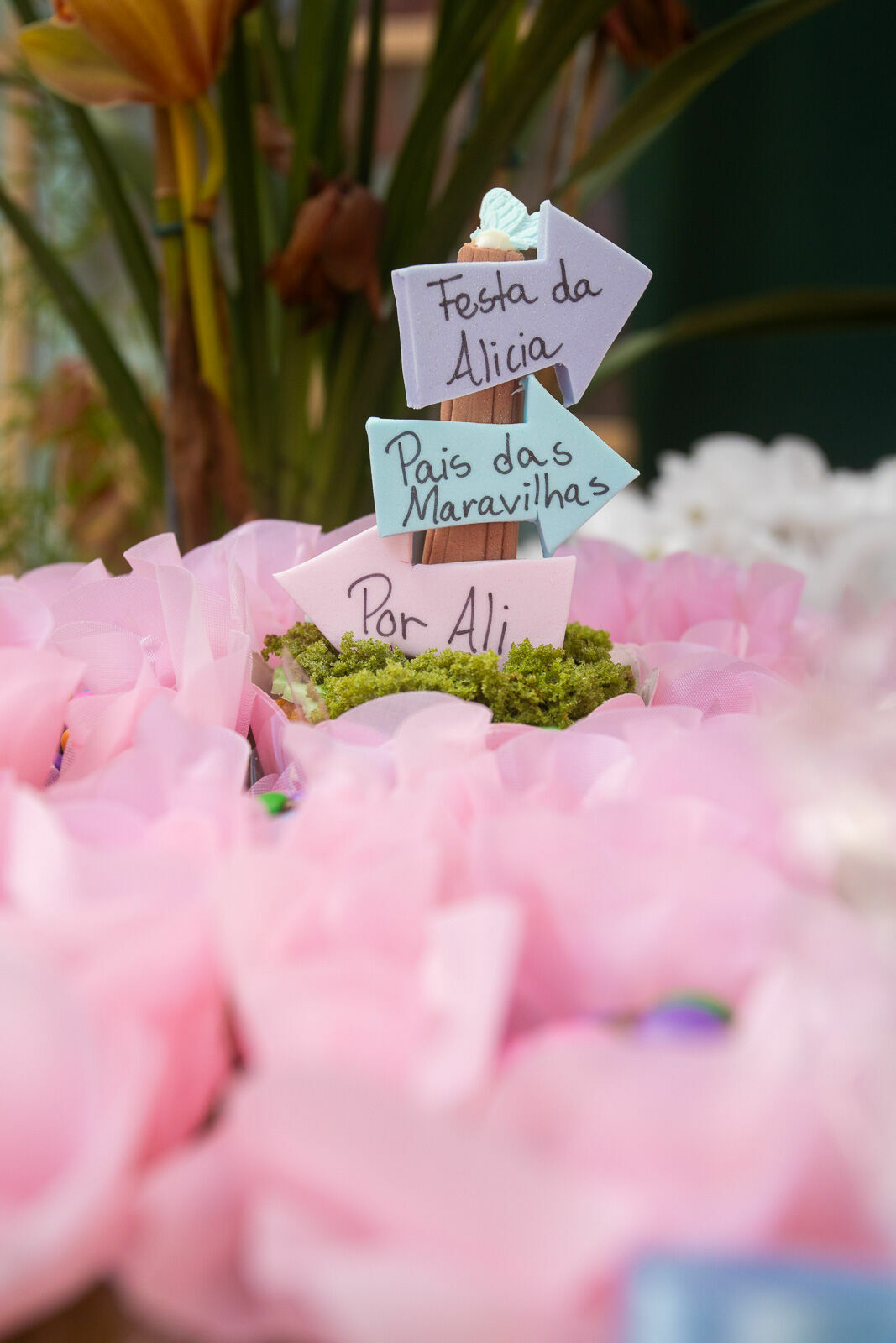 Foto A primeira volta ao Sol da nossa Alice no País das Maravilhas! Foto A primeira volta ao Sol da nossa Alice no País das Maravilhas! - Imagem 2